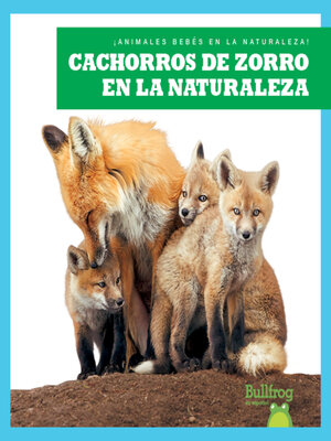 cover image of Cachorros de zorro en la naturaleza (Fox Kits in the Wild)